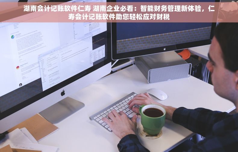 湖南会计记账软件仁寿 湖南企业必看：智能财务管理新体验，仁寿会计记账软件助您轻松应对财税