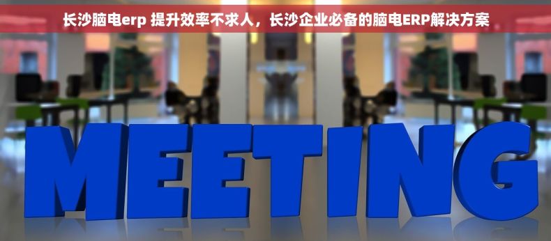 长沙脑电erp 提升效率不求人，长沙企业必备的脑电ERP解决方案