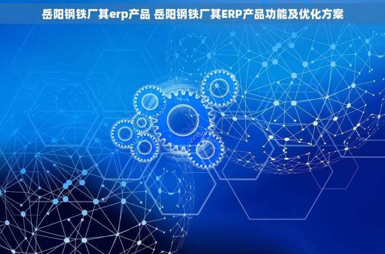 岳阳钢铁厂其erp产品 岳阳钢铁厂其ERP产品功能及优化方案