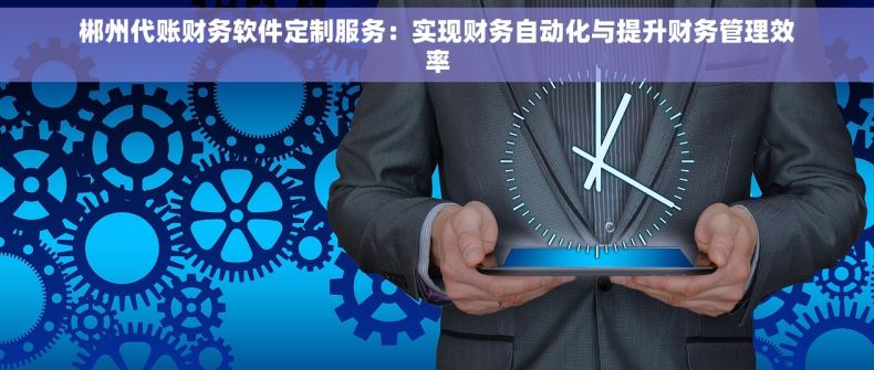 郴州代账财务软件定制服务：实现财务自动化与提升财务管理效率