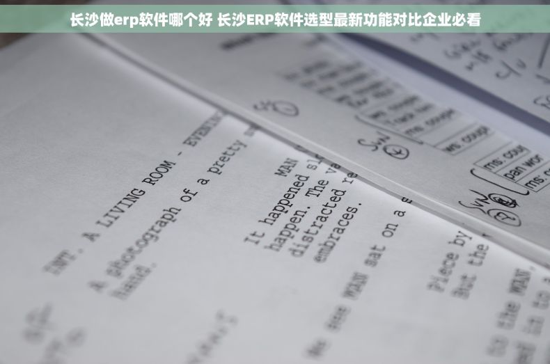 长沙做erp软件哪个好 长沙ERP软件选型最新功能对比企业必看