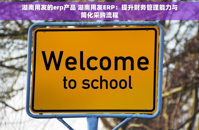 湖南用友的erp产品 湖南用友ERP：提升财务管理能力与简化采购流程