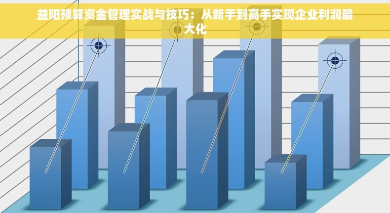 益阳预算资金管理实战与技巧：从新手到高手实现企业利润最大化