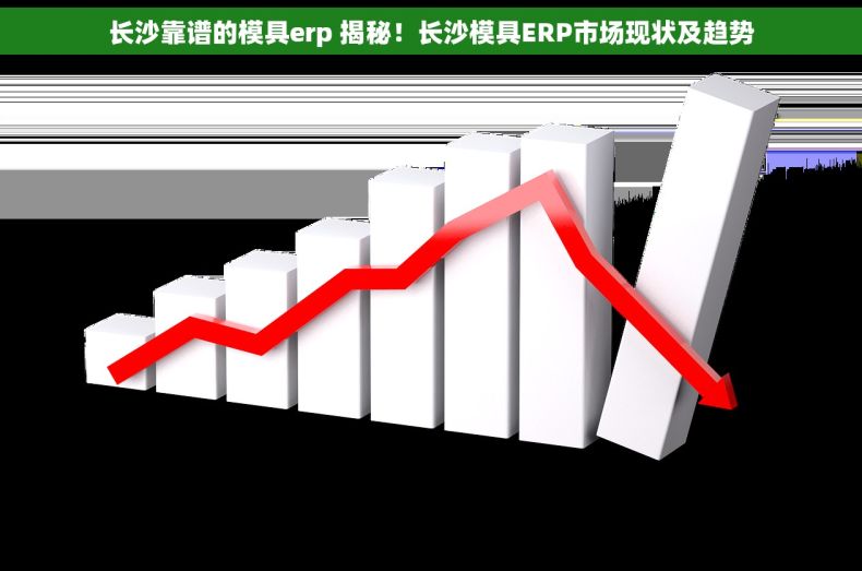长沙靠谱的模具erp 揭秘！长沙模具ERP市场现状及趋势