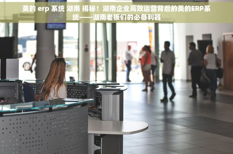 美的 erp 系统 湖南 揭秘！湖南企业高效运营背后的美的ERP系统——湖南老板们的必备利器