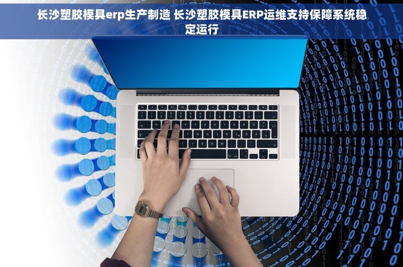 长沙塑胶模具erp生产制造 长沙塑胶模具ERP运维支持保障系统稳定运行