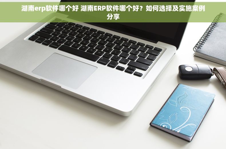 湖南erp软件哪个好 湖南ERP软件哪个好？如何选择及实施案例分享