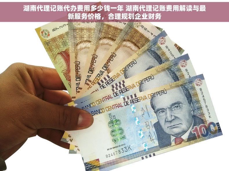 湖南代理记账代办费用多少钱一年 湖南代理记账费用解读与最新服务价格，合理规划企业财务