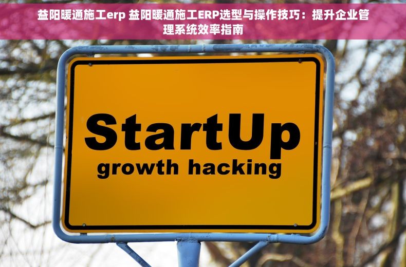 益阳暖通施工erp 益阳暖通施工ERP选型与操作技巧：提升企业管理系统效率指南