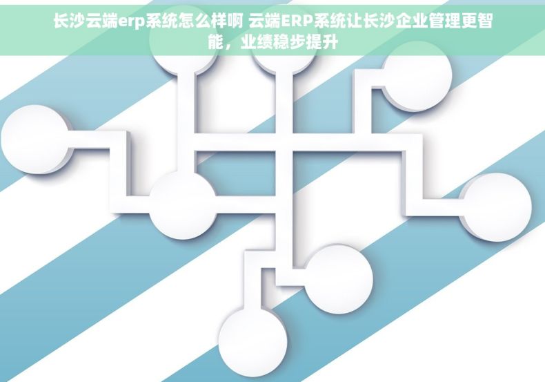 长沙云端erp系统怎么样啊 云端ERP系统让长沙企业管理更智能，业绩稳步提升