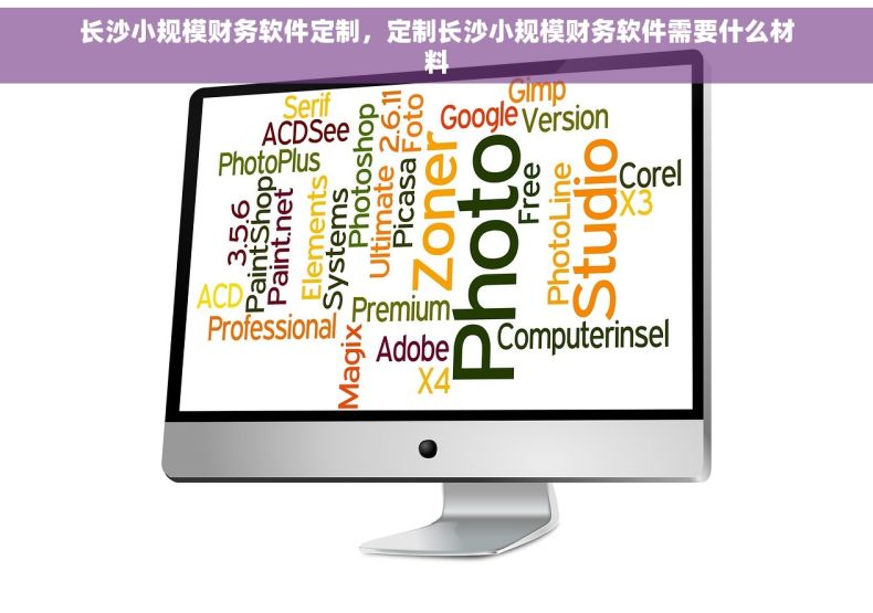 长沙小规模财务软件定制，定制长沙小规模财务软件需要什么材料