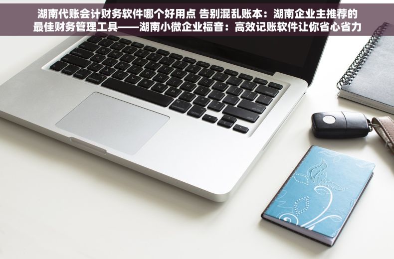 湖南代账会计财务软件哪个好用点 告别混乱账本：湖南企业主推荐的最佳财务管理工具——湖南小微企业福音：高效记账软件让你省心省力