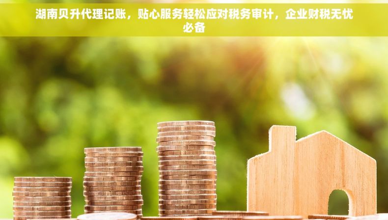 湖南贝升代理记账，贴心服务轻松应对税务审计，企业财税无忧必备