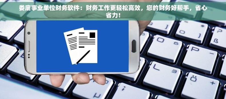 娄底事业单位财务软件：财务工作更轻松高效，您的财务好帮手，省心省力！