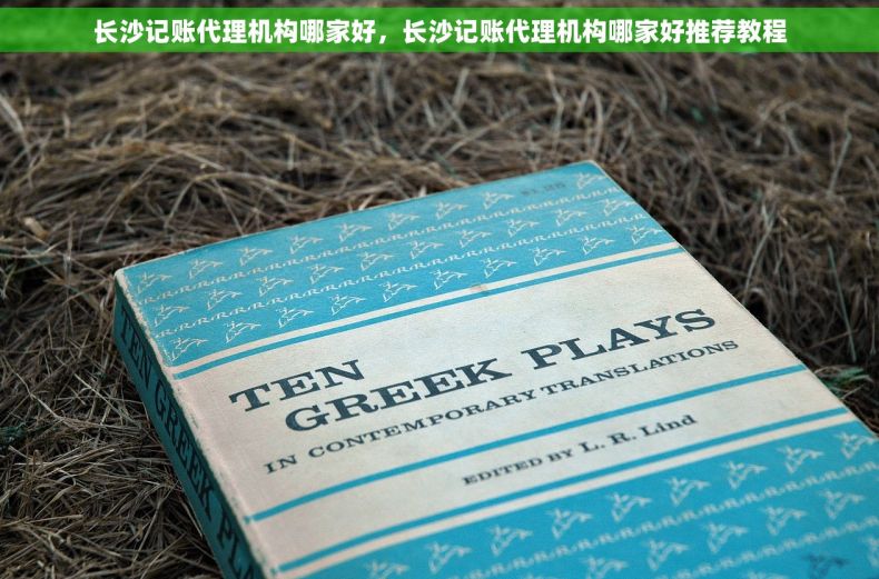 长沙记账代理机构哪家好，长沙记账代理机构哪家好推荐教程
