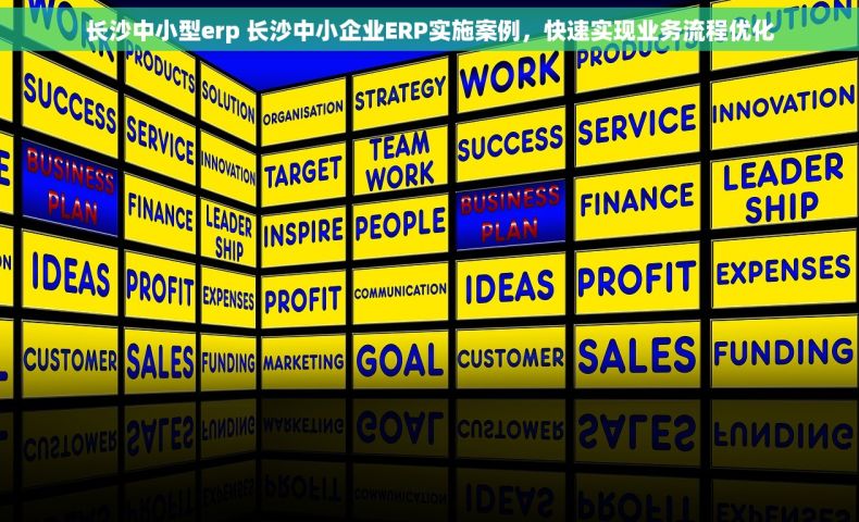 长沙中小型erp 长沙中小企业ERP实施案例，快速实现业务流程优化