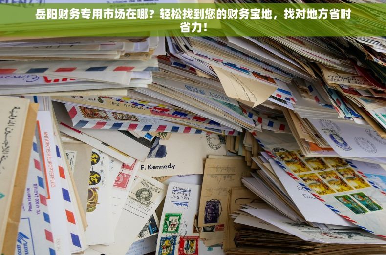 岳阳财务专用市场在哪？轻松找到您的财务宝地，找对地方省时省力！