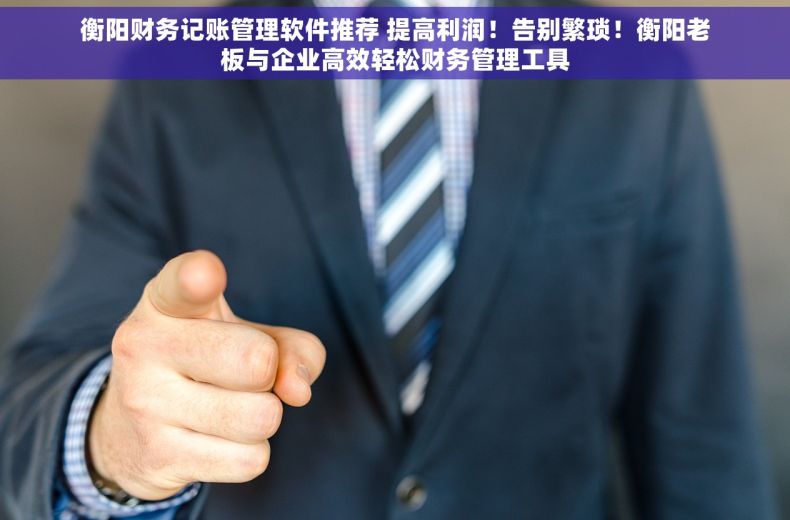 衡阳财务记账管理软件推荐 提高利润！告别繁琐！衡阳老板与企业高效轻松财务管理工具
