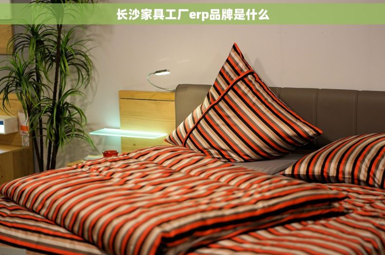 长沙家具工厂erp品牌是什么
