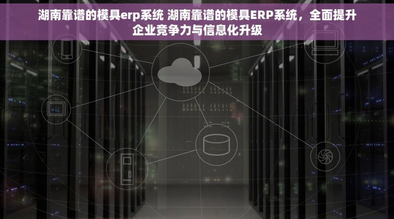 湖南靠谱的模具erp系统 湖南靠谱的模具ERP系统，全面提升企业竞争力与信息化升级