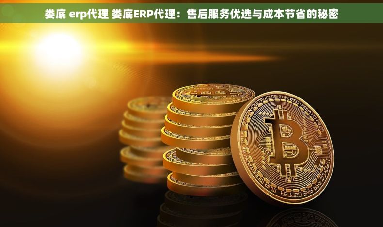 娄底 erp代理 娄底ERP代理：售后服务优选与成本节省的秘密
