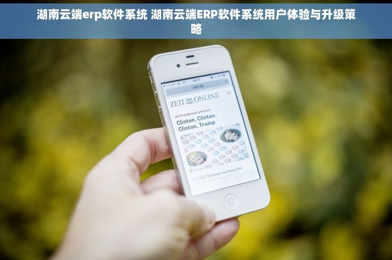 湖南云端erp软件系统 湖南云端ERP软件系统用户体验与升级策略