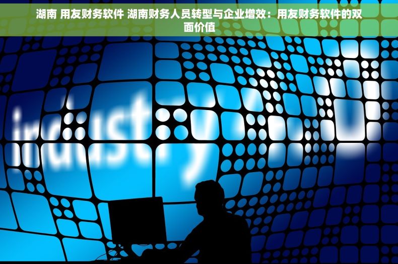 湖南 用友财务软件 湖南财务人员转型与企业增效：用友财务软件的双面价值