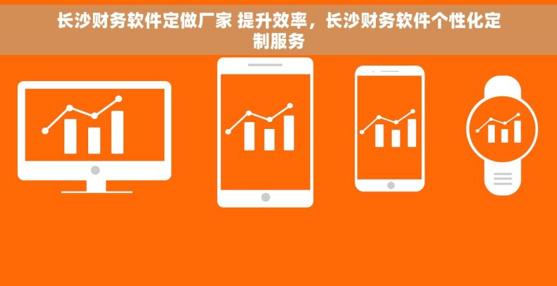 长沙财务软件定做厂家 提升效率，长沙财务软件个性化定制服务