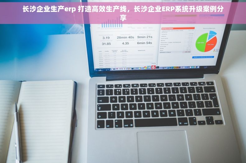 长沙企业生产erp 打造高效生产线，长沙企业ERP系统升级案例分享