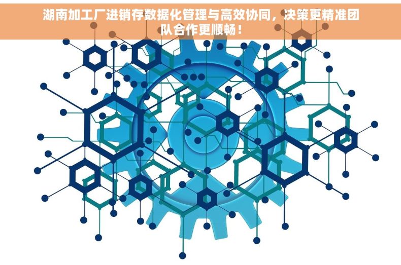 湖南加工厂进销存数据化管理与高效协同，决策更精准团队合作更顺畅！