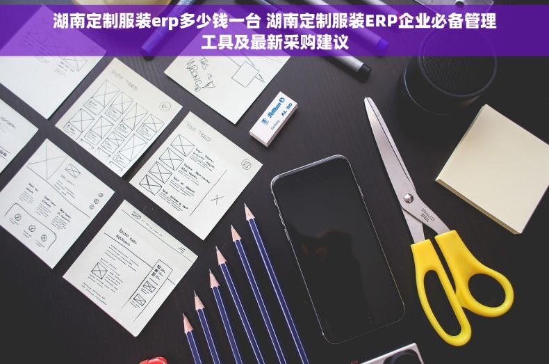 湖南定制服装erp多少钱一台 湖南定制服装ERP企业必备管理工具及最新采购建议