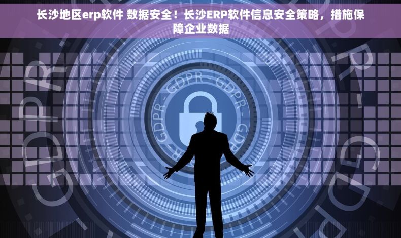 长沙地区erp软件 数据安全！长沙ERP软件信息安全策略，措施保障企业数据