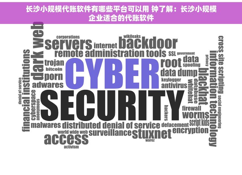 长沙小规模代账软件有哪些平台可以用 钟了解：长沙小规模企业适合的代账软件