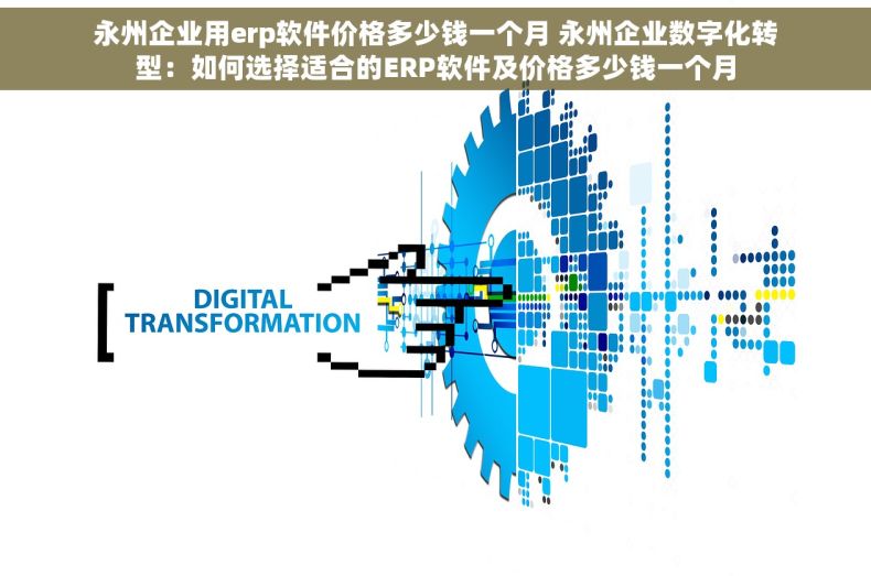 永州企业用erp软件价格多少钱一个月 永州企业数字化转型：如何选择适合的ERP软件及价格多少钱一个月