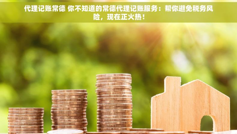 代理记账常德 你不知道的常德代理记账服务：帮你避免税务风险，现在正火热！