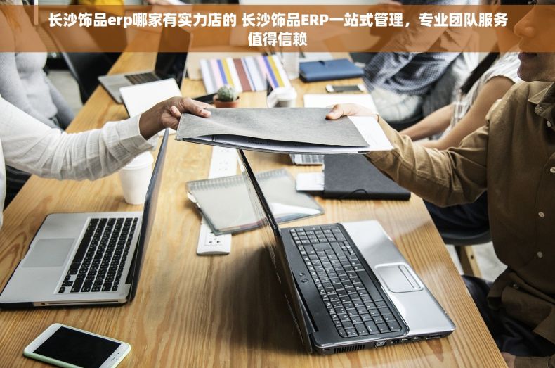 长沙饰品erp哪家有实力店的 长沙饰品ERP一站式管理，专业团队服务值得信赖