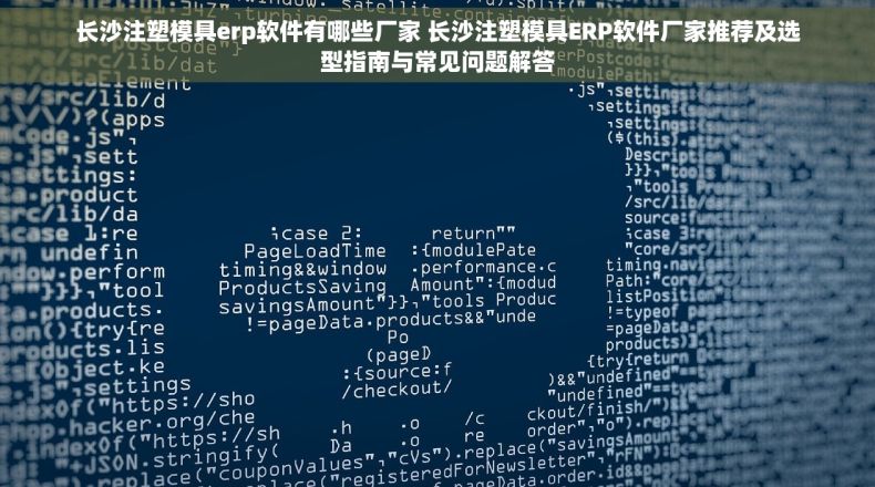 长沙注塑模具erp软件有哪些厂家 长沙注塑模具ERP软件厂家推荐及选型指南与常见问题解答