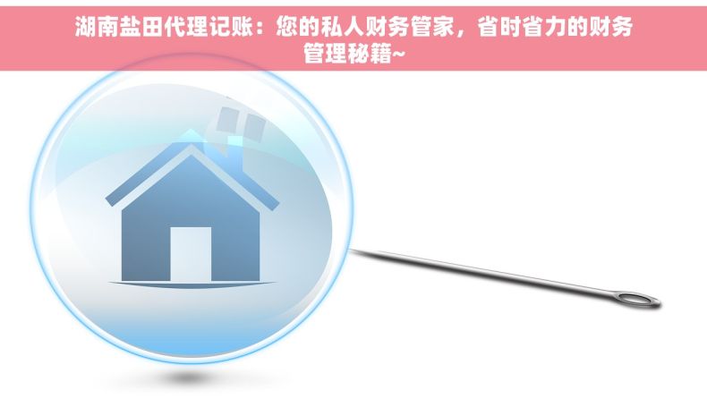 湖南盐田代理记账：您的私人财务管家，省时省力的财务管理秘籍~