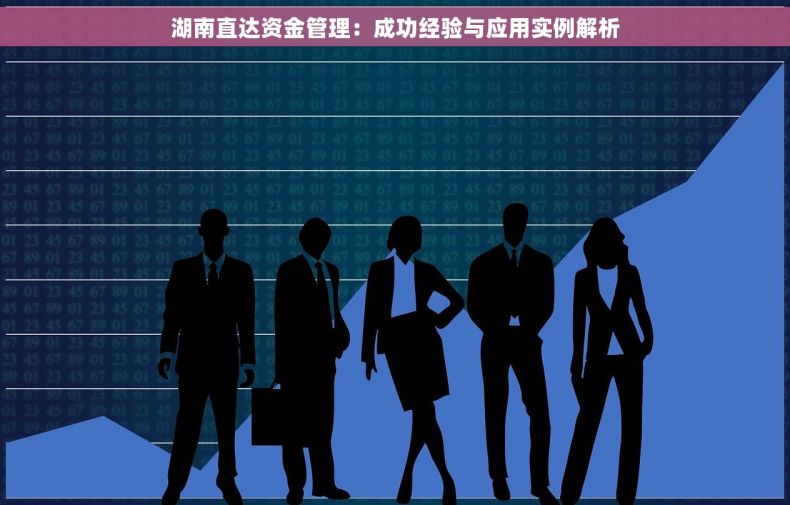 湖南直达资金管理：成功经验与应用实例解析