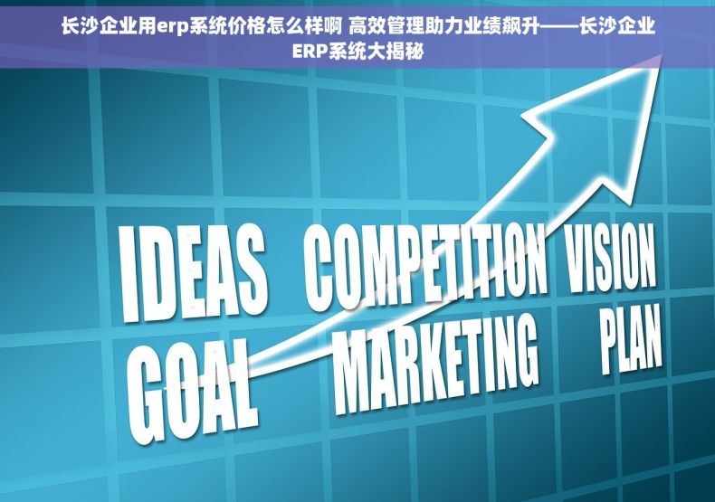长沙企业用erp系统价格怎么样啊 高效管理助力业绩飙升——长沙企业ERP系统大揭秘