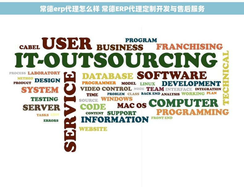 常德erp代理怎么样 常德ERP代理定制开发与售后服务