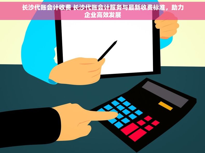 长沙代账会计收费 长沙代账会计服务与最新收费标准，助力企业高效发展