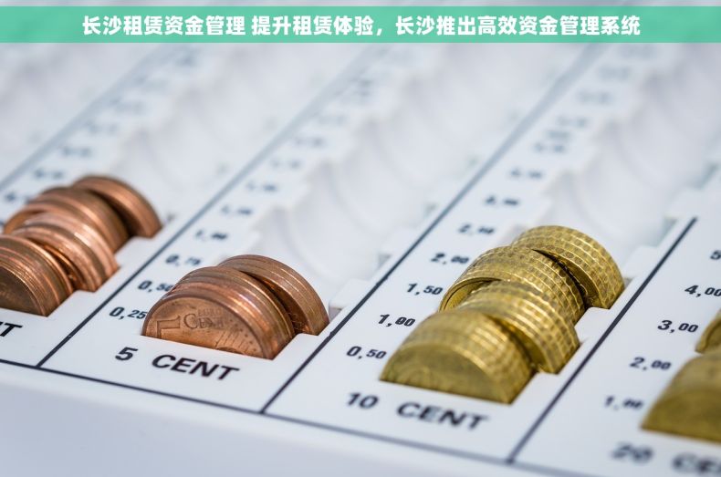 长沙租赁资金管理 提升租赁体验，长沙推出高效资金管理系统