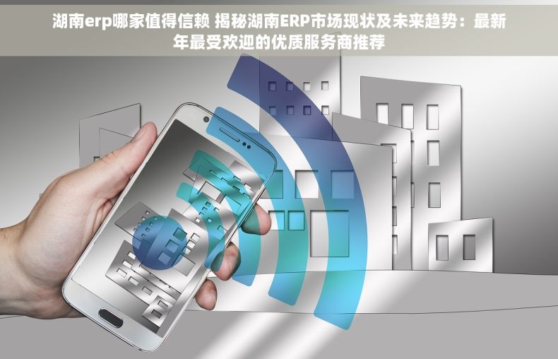 湖南erp哪家值得信赖 揭秘湖南ERP市场现状及未来趋势：最新年最受欢迎的优质服务商推荐