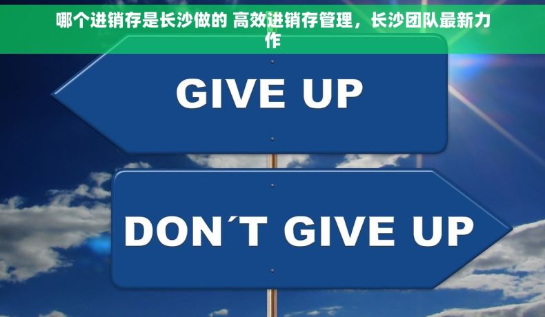 哪个进销存是长沙做的 高效进销存管理，长沙团队最新力作
