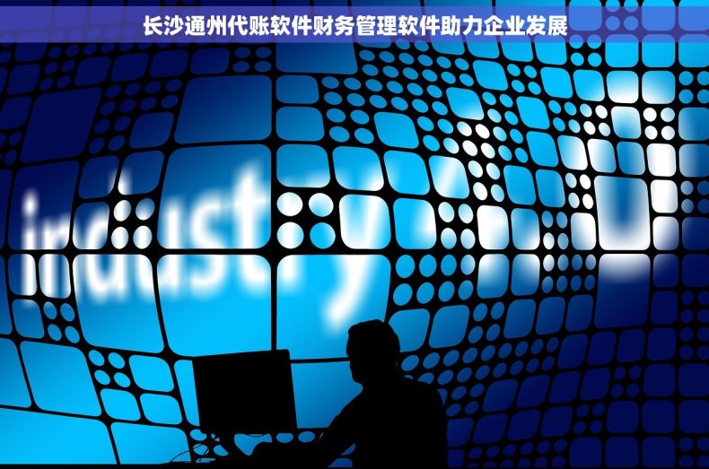 长沙通州代账软件财务管理软件助力企业发展