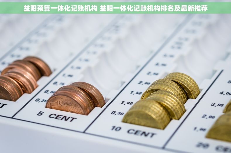 益阳预算一体化记账机构 益阳一体化记账机构排名及最新推荐
