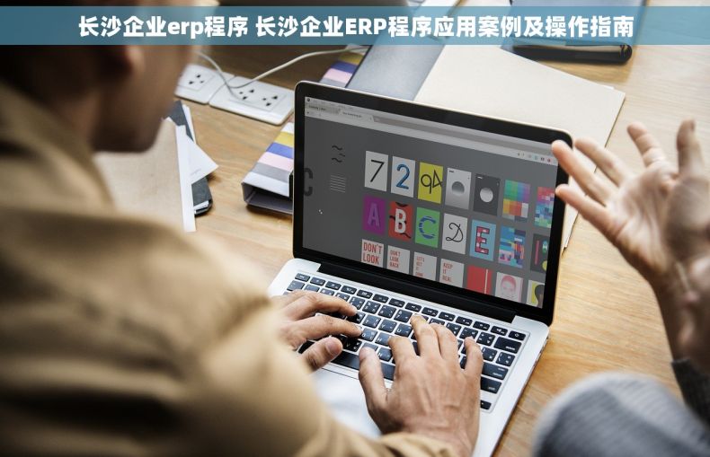 长沙企业erp程序 长沙企业ERP程序应用案例及操作指南