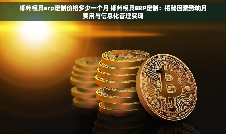 郴州模具erp定制价格多少一个月 郴州模具ERP定制：揭秘因素影响月费用与信息化管理实现