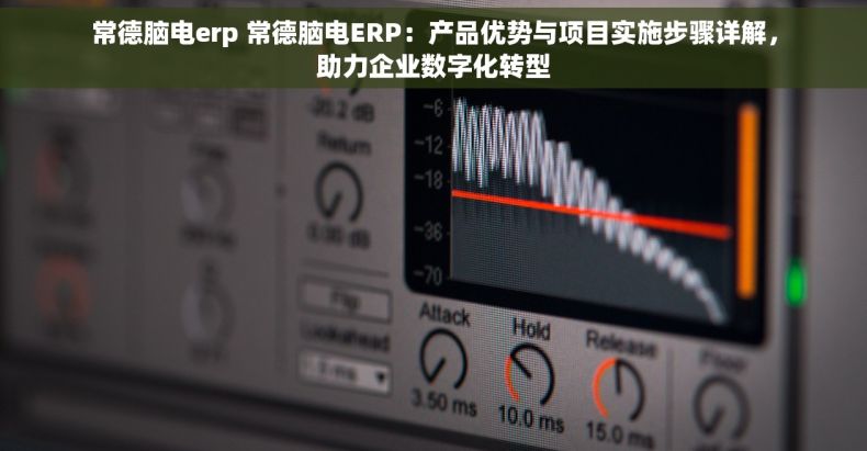 常德脑电erp 常德脑电ERP：产品优势与项目实施步骤详解，助力企业数字化转型
